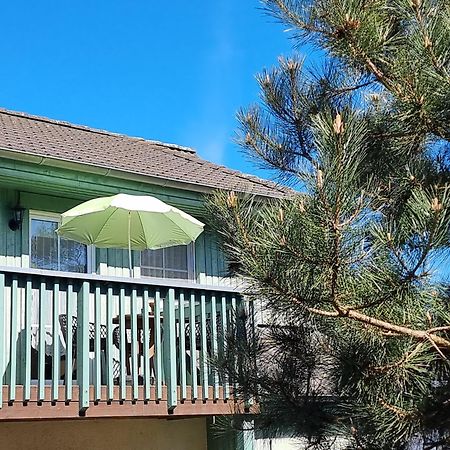 Ferienwohnung Strandwurzel ツェンピン エクステリア 写真